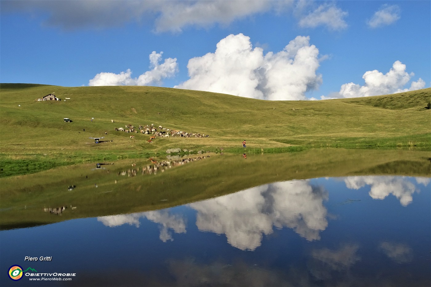 100 La mandria si specchia nella bella pozza dei Piani dell'Avaro.JPG